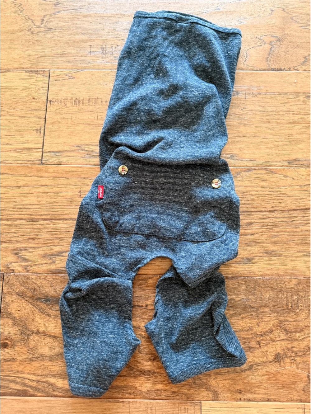 Levi's Medium Pet Pajamas in Dark Gray - Picture 1 of 6